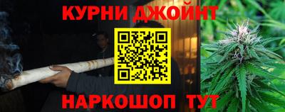 индика Пенза