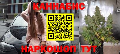 индика Пенза