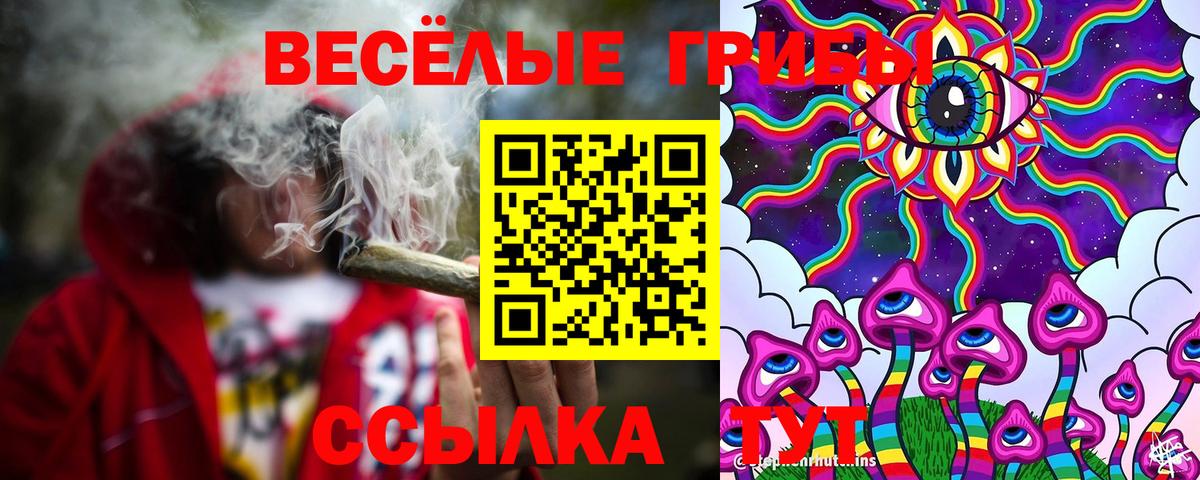 Галлюциногенные грибы MAGIC MUSHROOMS  Вход с VPN  Партизанск 