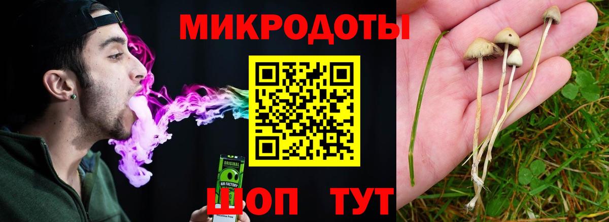 Галлюциногенные грибы ЛСД Партизанск